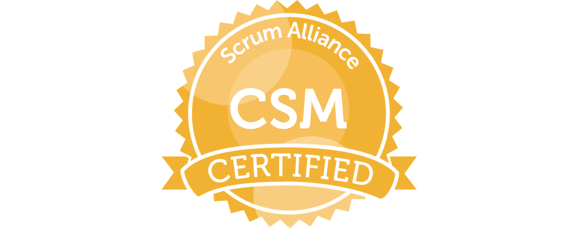 Certified Scrum Master Workshop CSM Vidscola