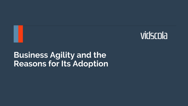 Business Agility and the Reasons for Its Adoption