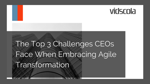 The Top 3 Challenges CEOs Face When Embracing Agile Transformation