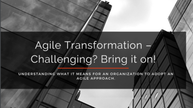 Agile Transformation E-Book