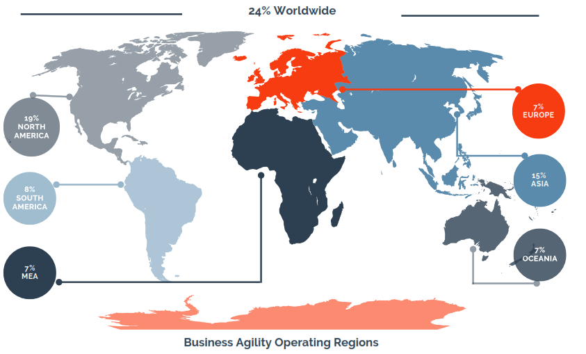 Business Agility and the Reasons for Its Adoption